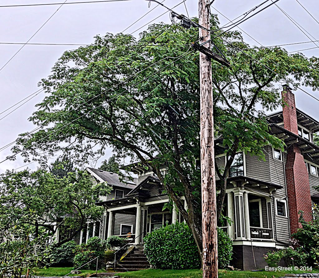 Could be Home • Portland, OR by Easy Street Images ©