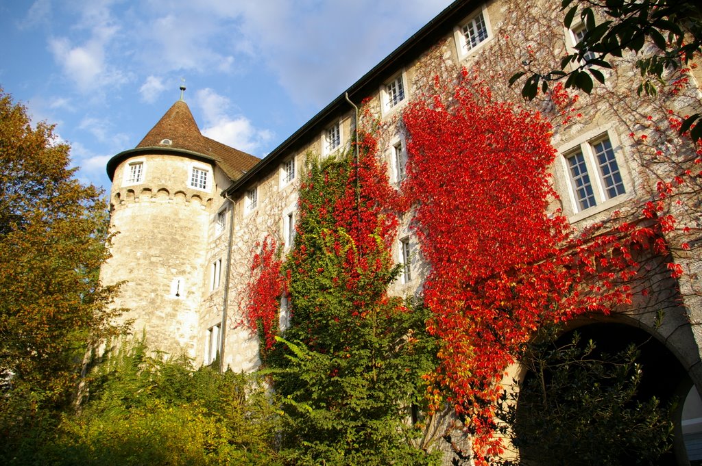 Autumn in Solothurn by Watamtotuli