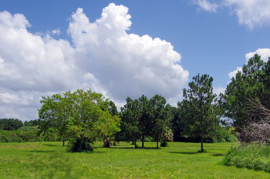 2014 06-30 Winter Haven, Florida by Qwilleran