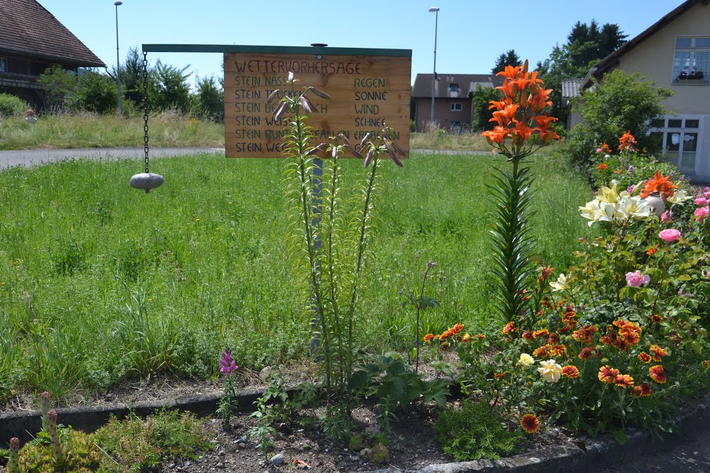 Wetterstation in Kiesen by Brigitte Ryser