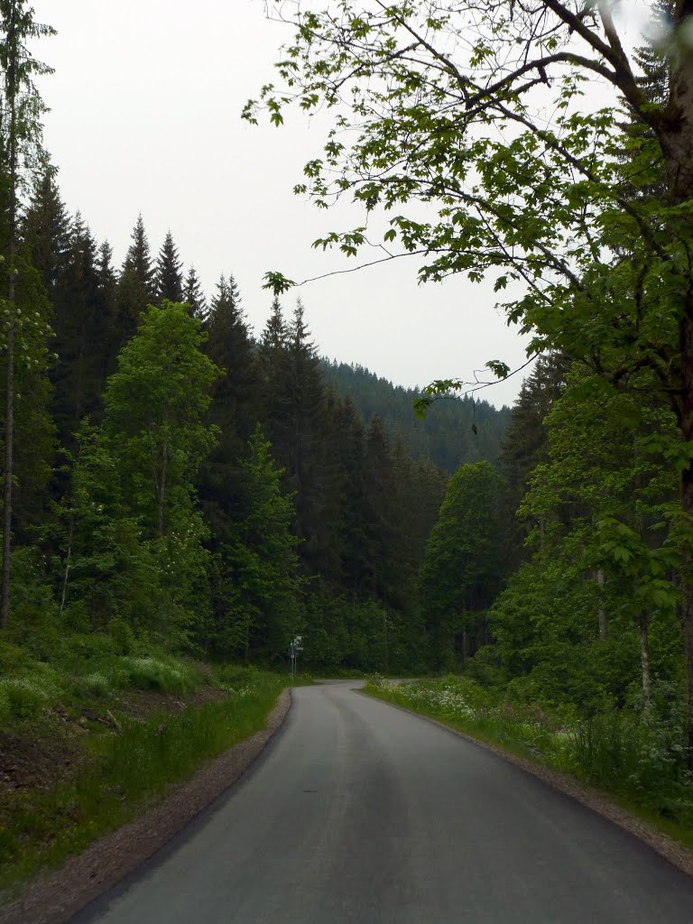 Seebachweg, Kunzenmoos. by Pieter Klein