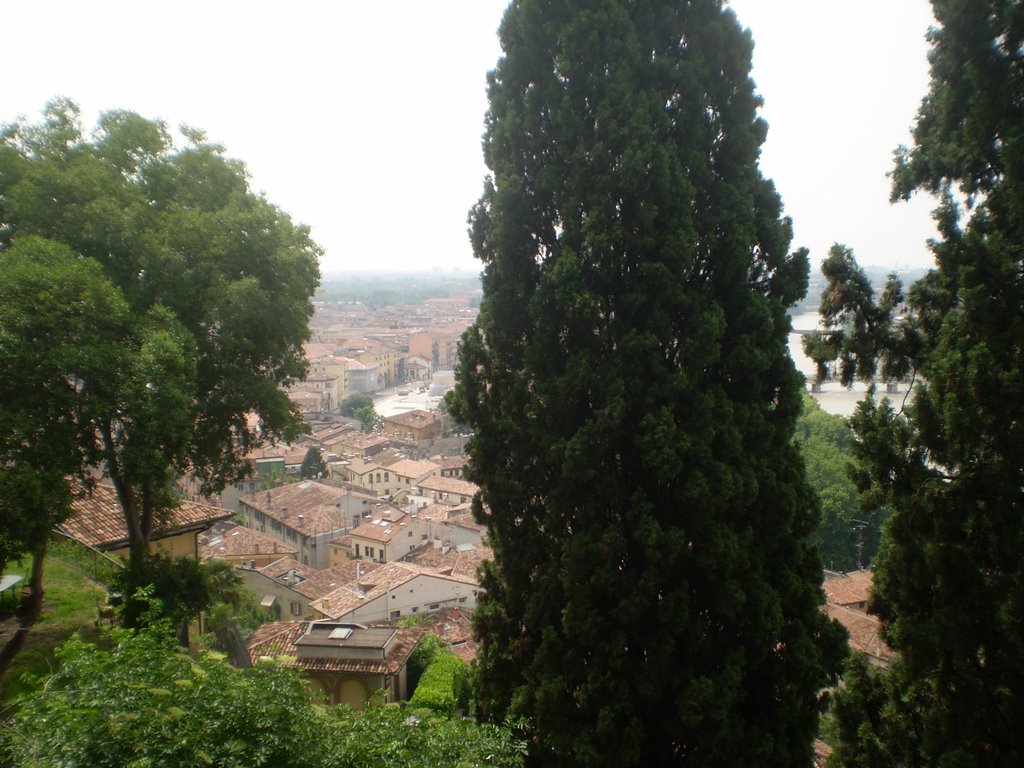 Verona- Vista do alto do Castello di San Pietro by Maria Salette Jacque…