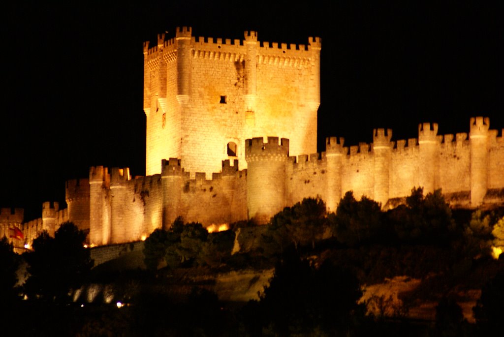 Castillo de Peñafiel-Noche by luismiarroyo