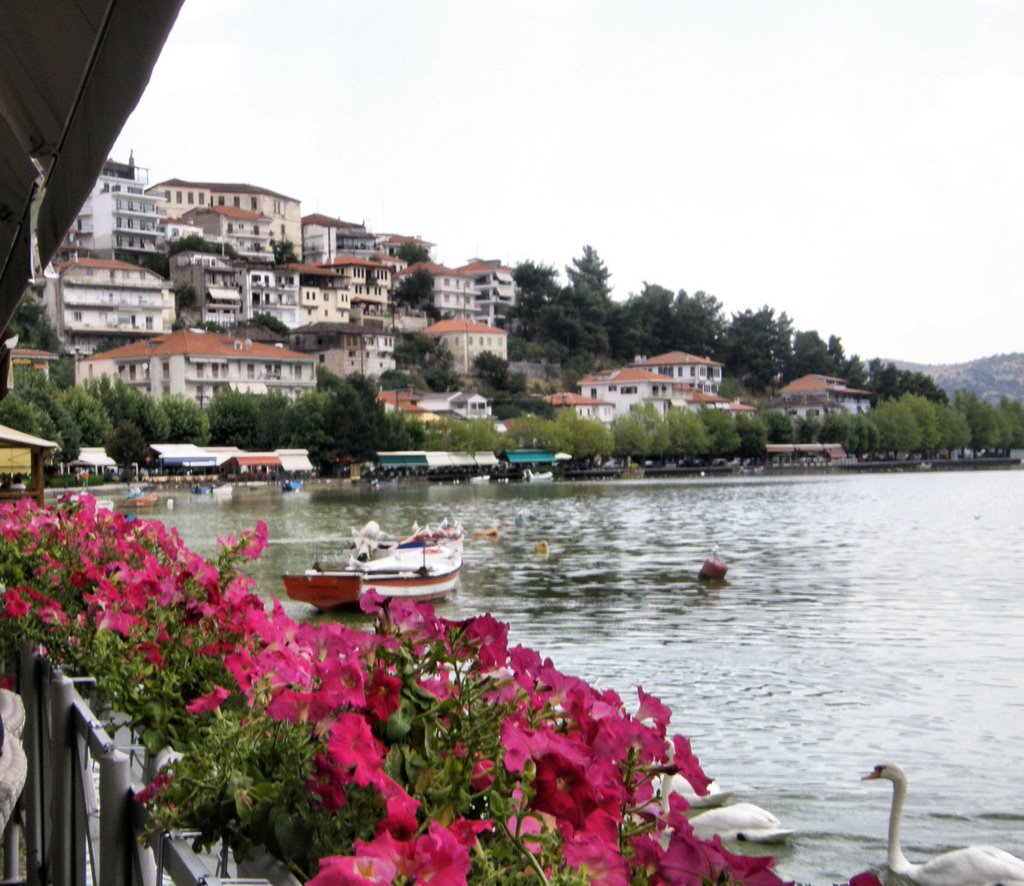 Kastoria-Seepromenade. by zikonik