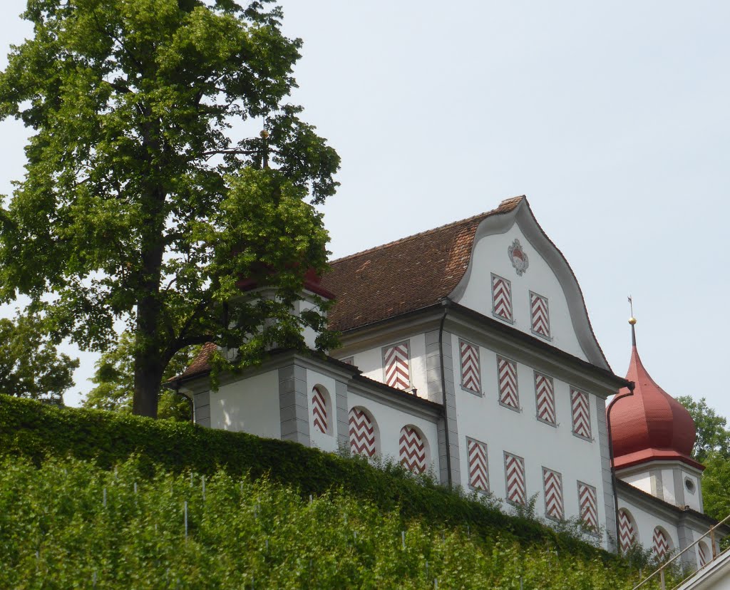 Schloss Landenberg by bienenritter