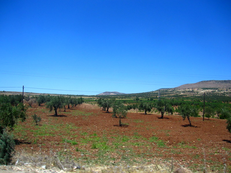 Gaziantep Kilis yolu, Osman Ünlü by Osman Ünlü