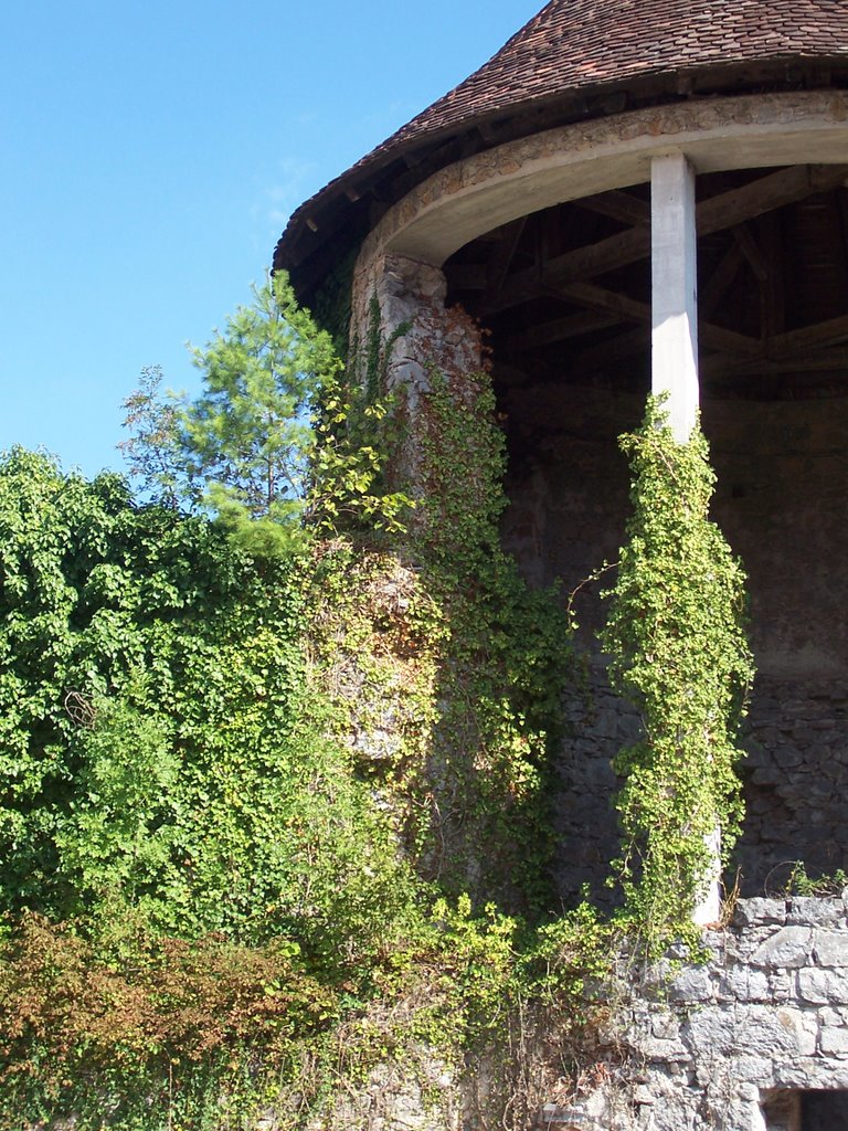 Overgrown tower by Harm--