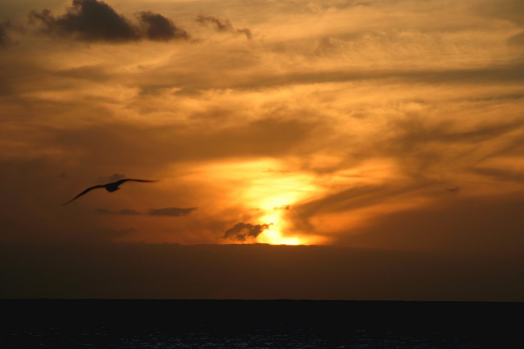 Costa del Silencio. Tenerife. by Valentín Enrique