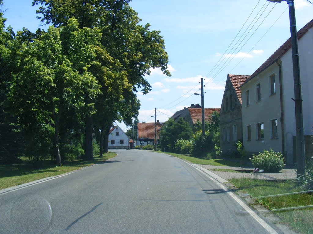 Domsdorf, Uebigau-Wahrenbrück, Niederlausitz. Die Dorfstrasse vor dem Abzweig zur Schadewitzer Strasse. by velthurvik