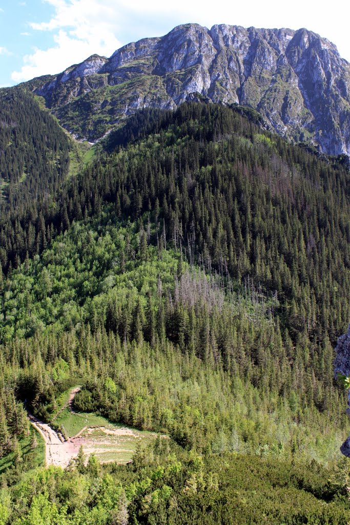 TATRA NATIONAL PARK (PL): Mt. Giewont seen from Mt. Sarnia Skała. by zorinaristos007