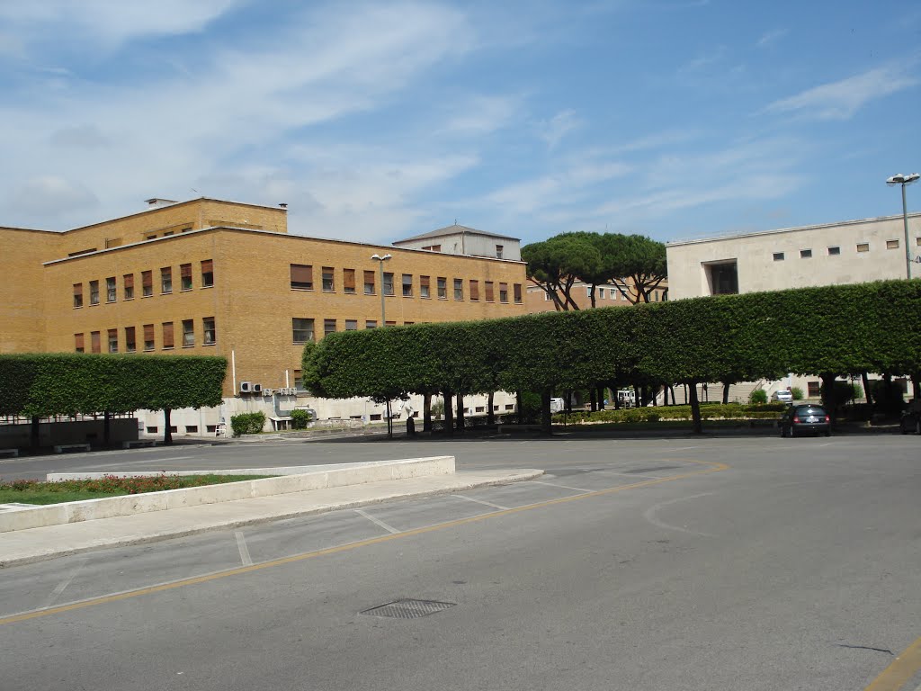 Piazza della Minerva e Facoltà di Fisica e Geologia (Città Universitaria La Sapienza) by Alto_79