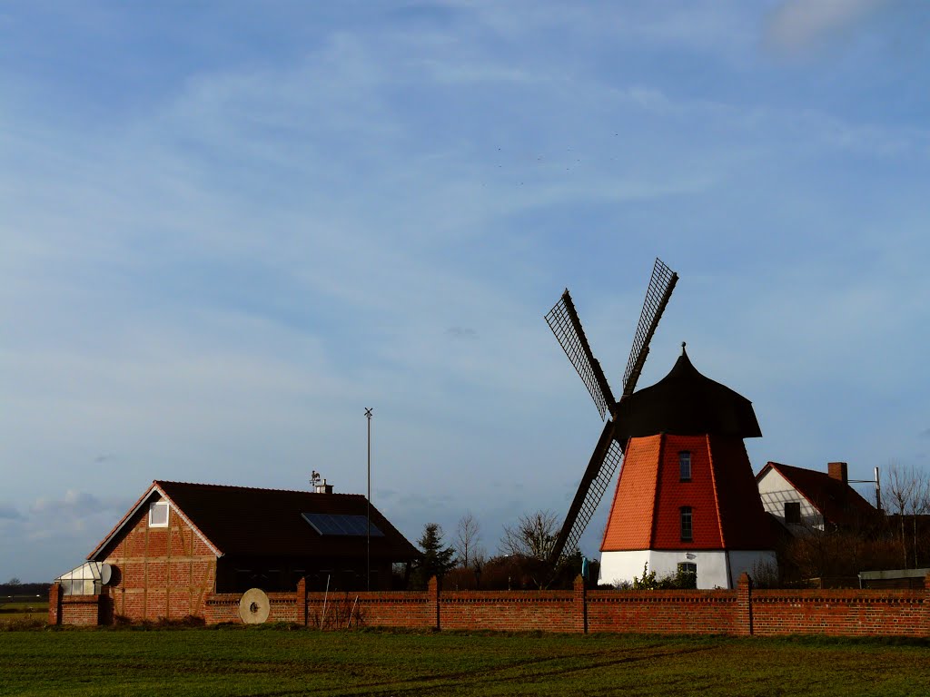 Germany_Lower Saxony_Meine_dutch octagonal smock windmill with revolving cap_P1550565 by George Charleston