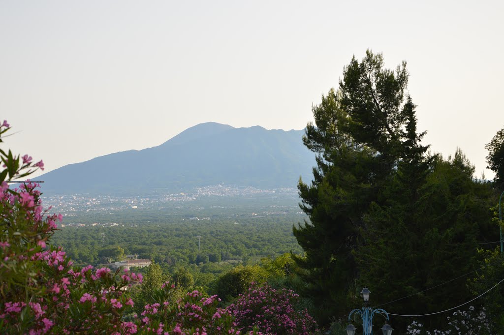 Nola - Marzano di Nola Vesuvio visto dal Santuario by lorsav