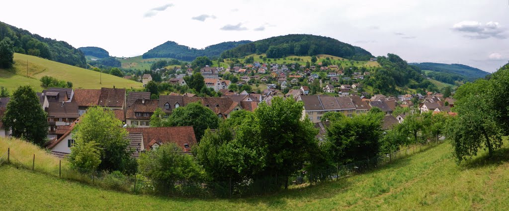 Reigoldswil, Panorama by dr.monnet