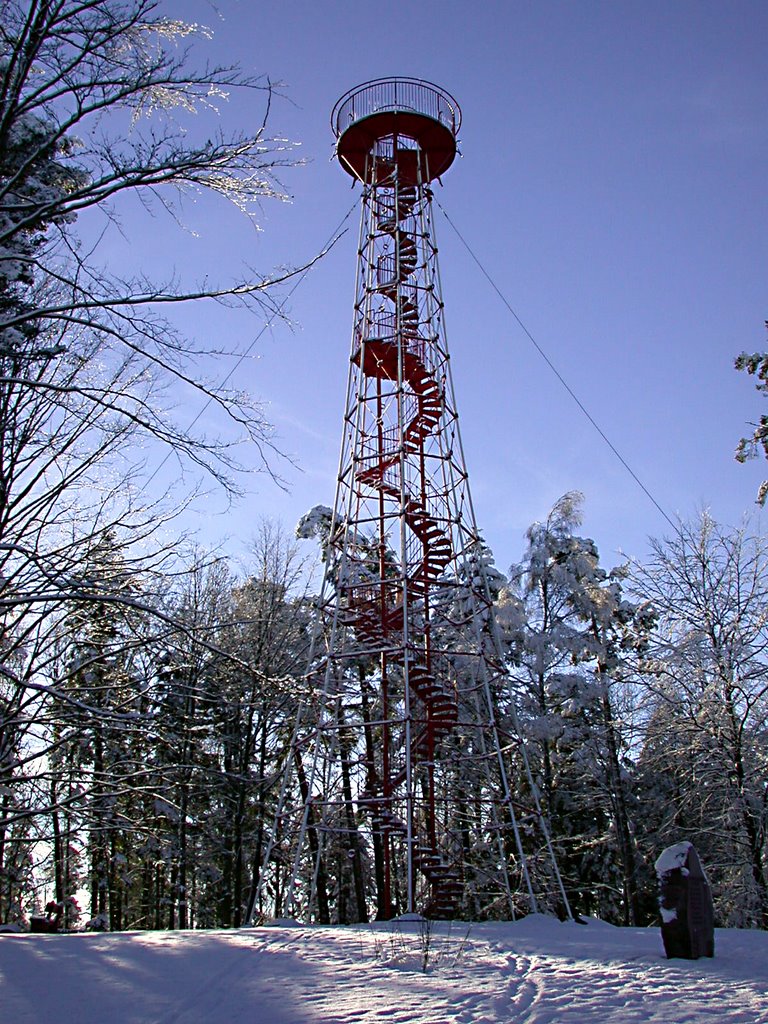 Büchenbronner Aussichtsturm by Hch.Baral