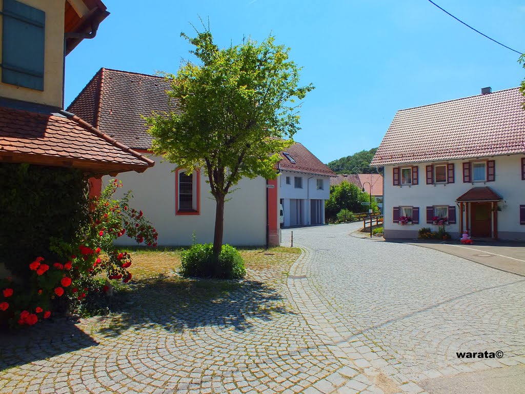 Anhausen (i) - Stadt Hayingen > im Ort gesehen ... by warata