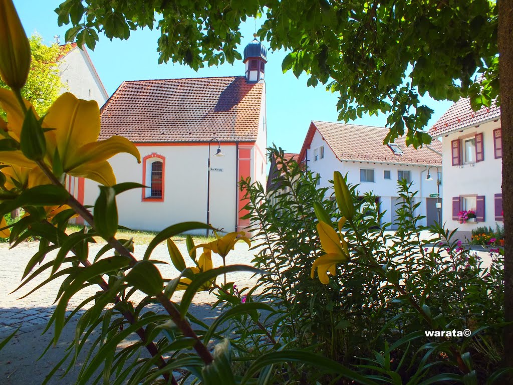 Anhausen (i) - Stadt Hayingen > im Ort gesehen ... by warata