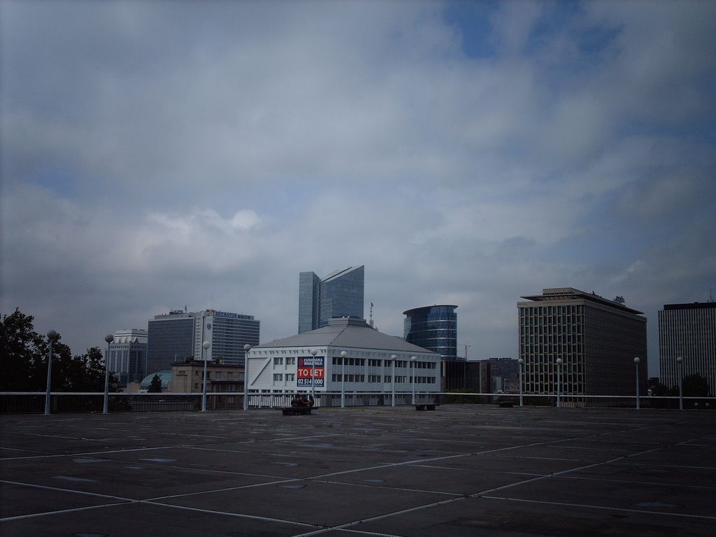 Panorama of Brussels by Noé Diakubama