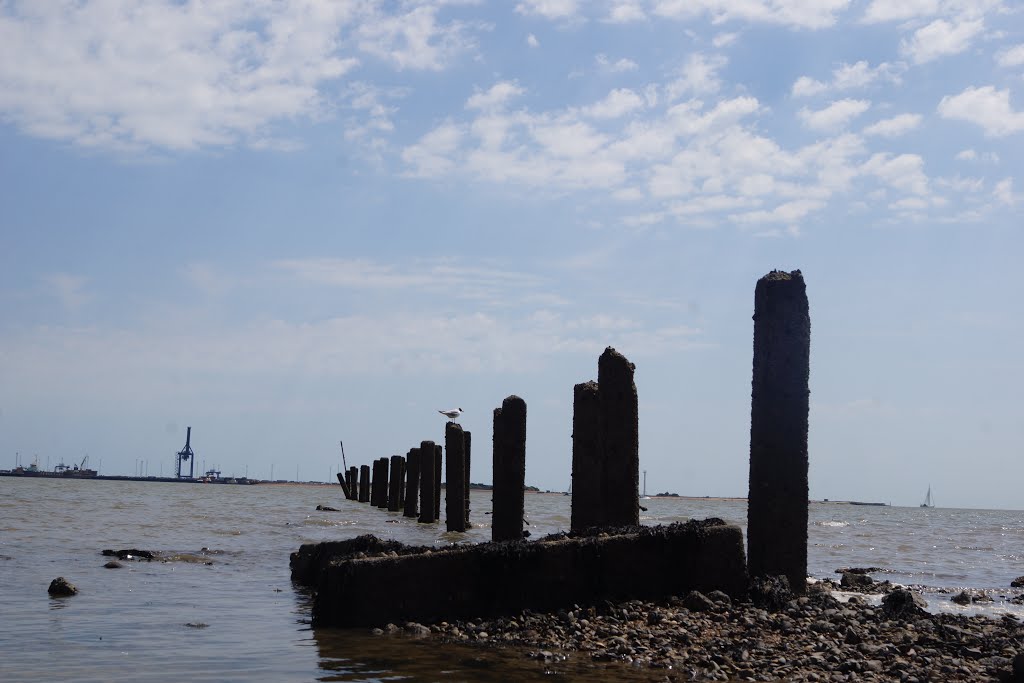 Old Breaker at Harwich by Mike Shields