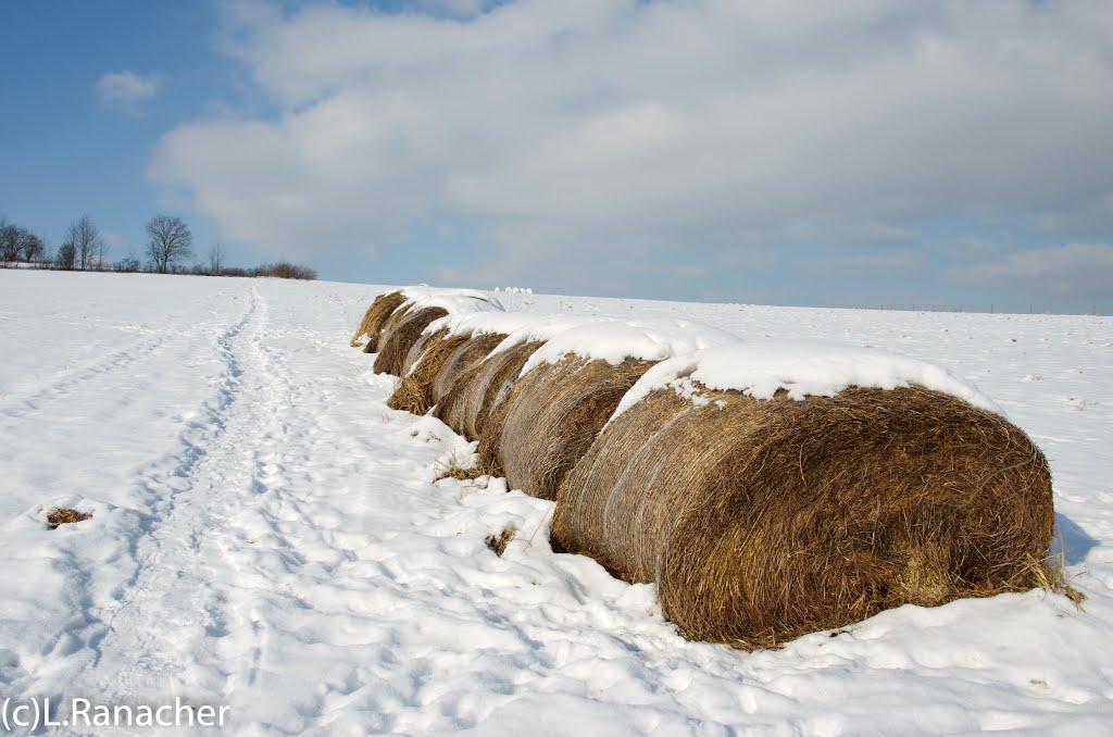 Winter by Lutz Ranacher