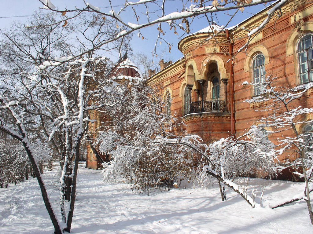 National Geography Society' former palace by slava-china