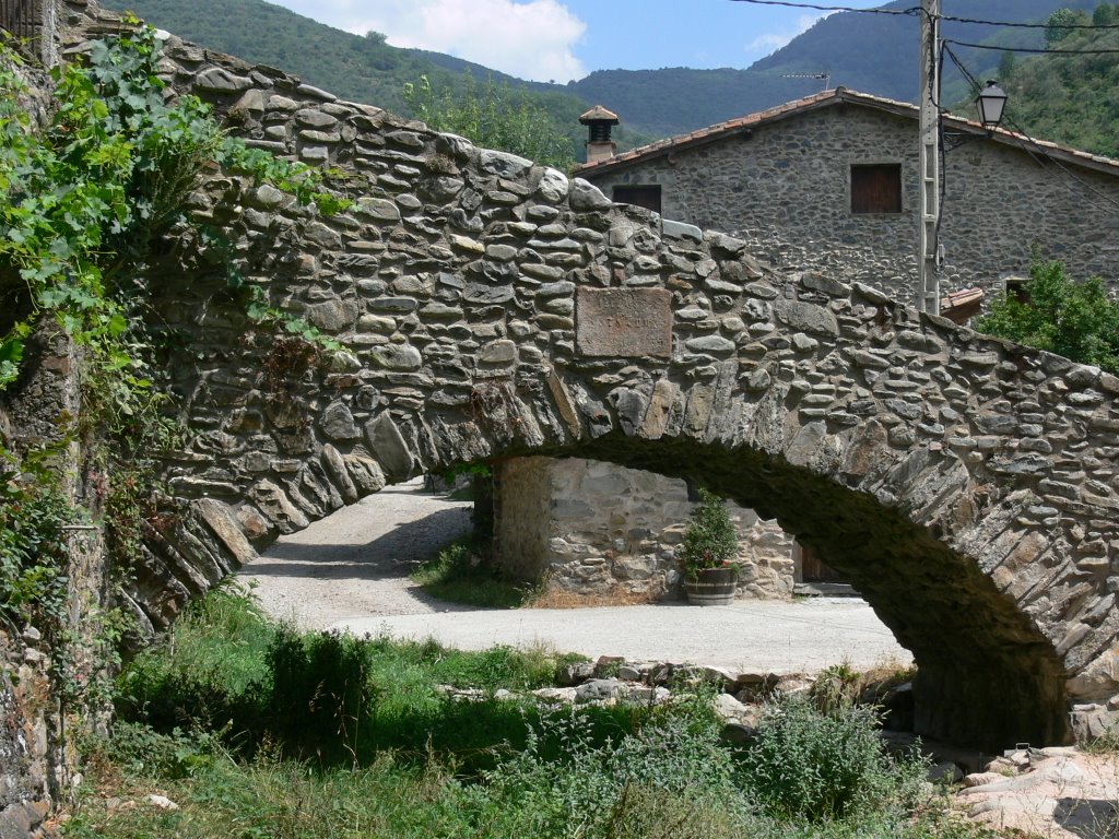 ZALDIERNA (Ezcaray-Valle del Oja). 2006. 11. Puente sobre el río Zambullón. by Carlos Sieiro del Nido