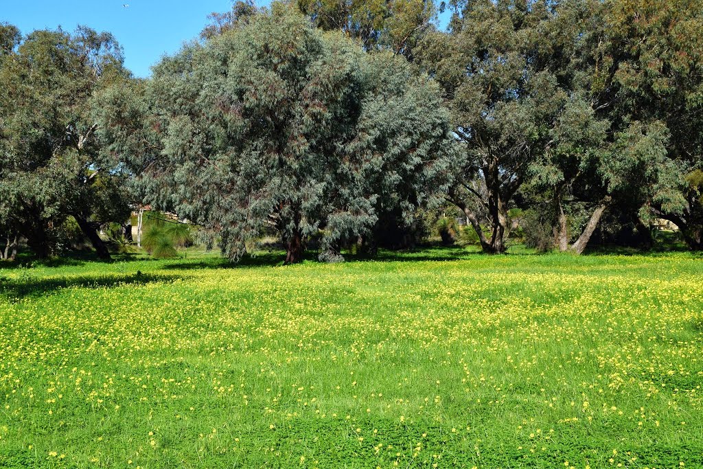 Bibra Lake, Beeliar Regional Park, Perth, Western Australia by metrotrekker