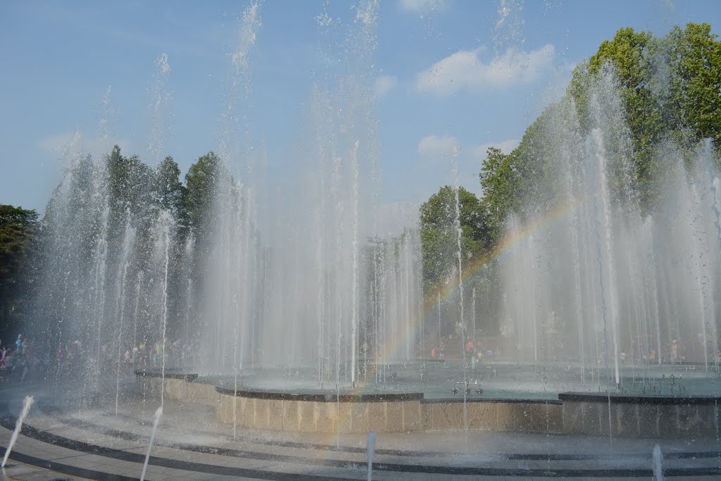 Seoul Grand Children's Park 서울어린이대공원 by plumgarden