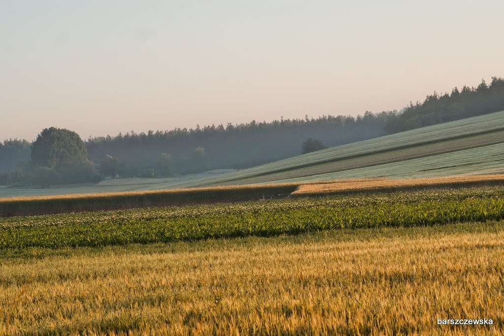 Włodowice, okolice, poranek by barszczewska