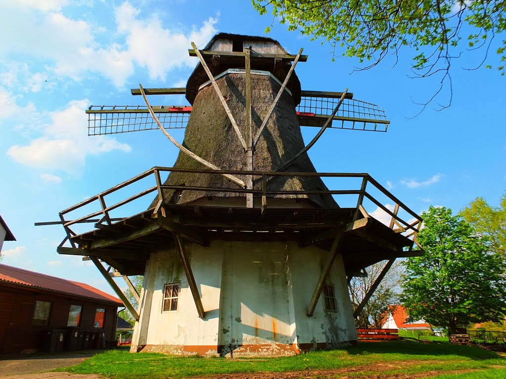 Germany_Lower Saxony_Sandhausen-Myhle_damaged dutch octagonal smock windmill with revolving cap and platform_DSCF9265 by George Charleston