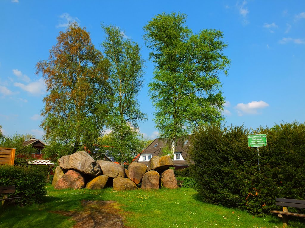 Germany_Lower Saxony_Osterholz-Scharmbeck_Hühnenstein megalithic tomb_DSCF9225 by George Charleston