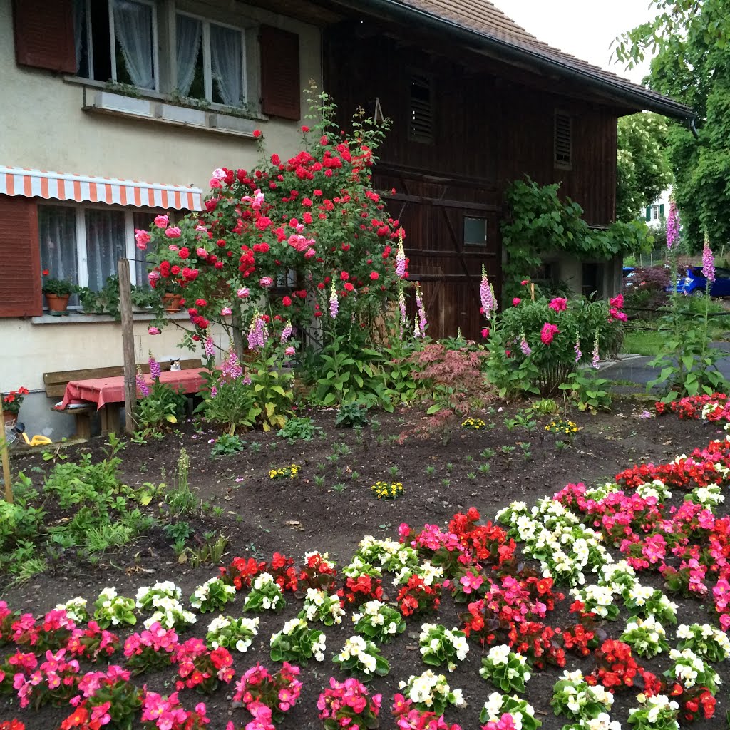 Blumen in Wangen by Artur Braun