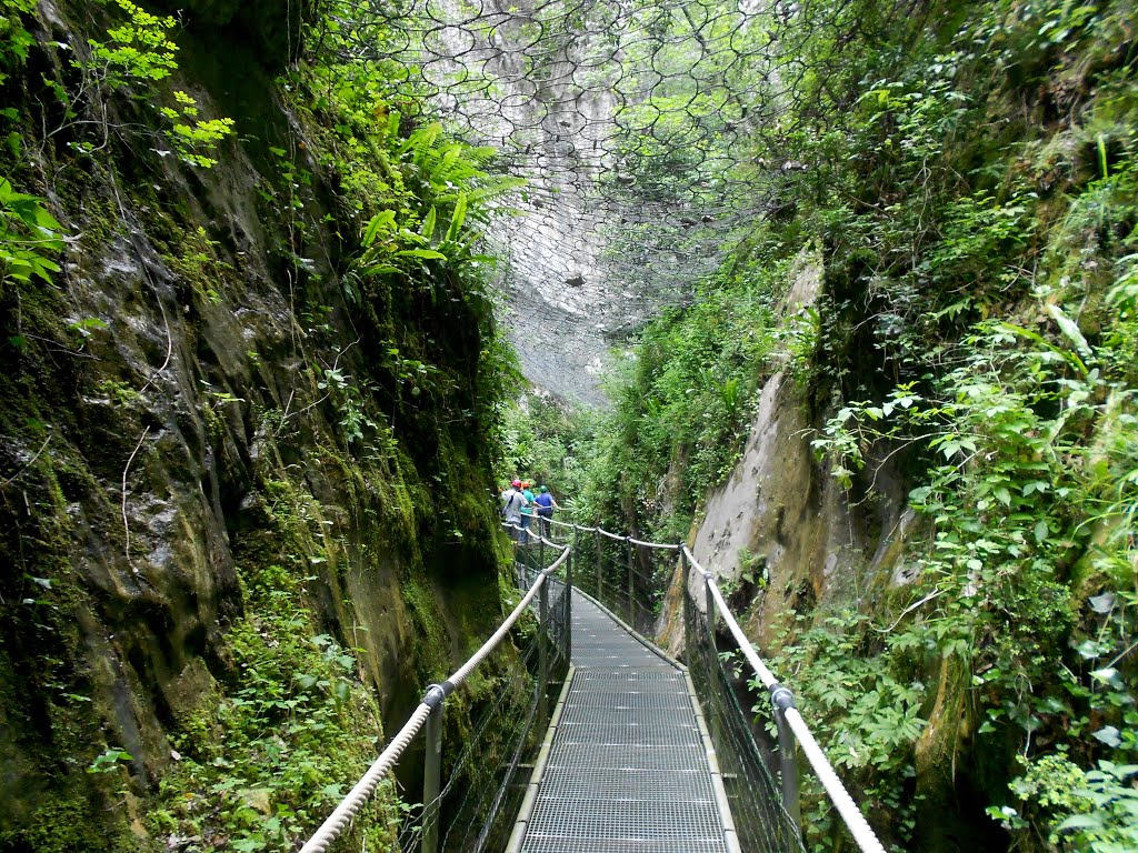 Les gorges de la Fou by joanloam