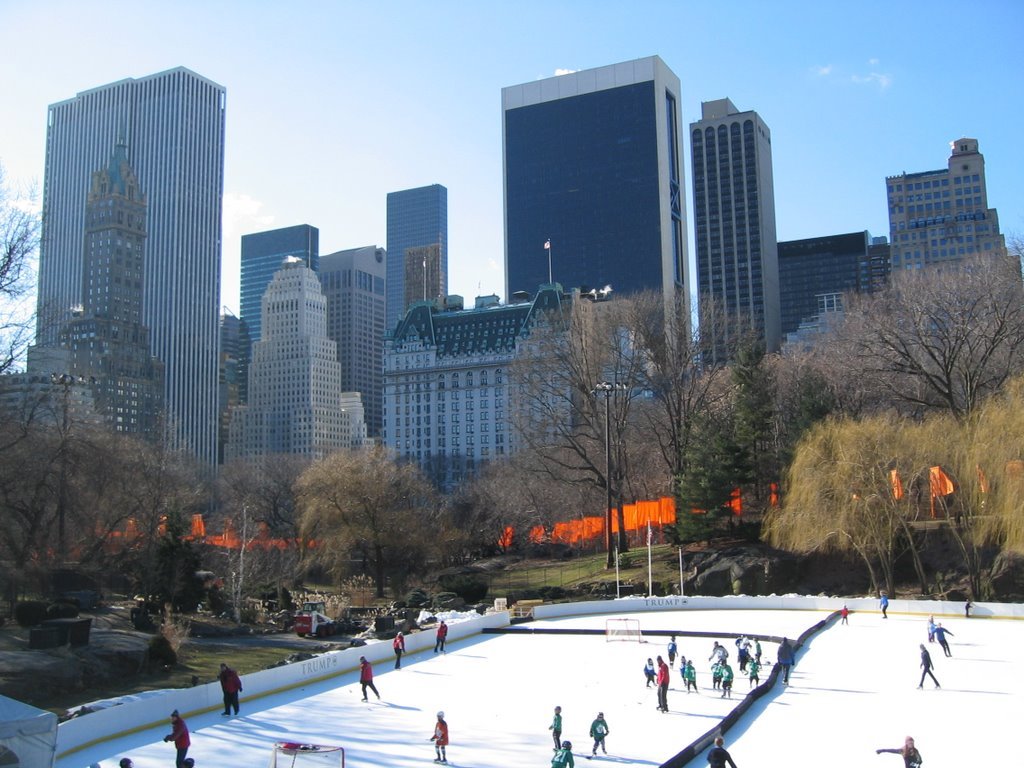 Central Park - The Gates (by Christo and Jeanne-Claude), 2005 by T. Seemann