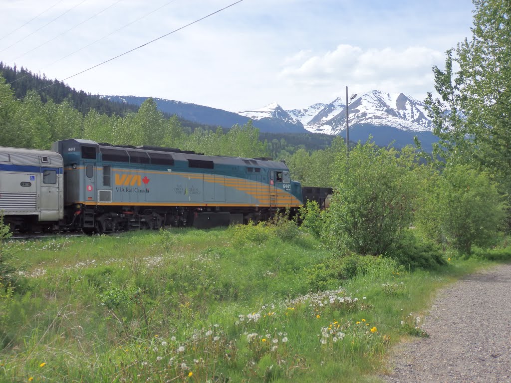 Via Rail by Dirk928