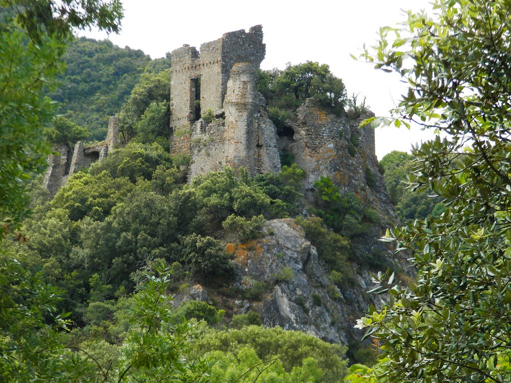 Château de Durfort by zicx