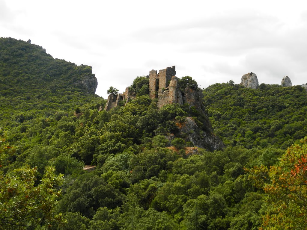 Château de Durfort by zicx