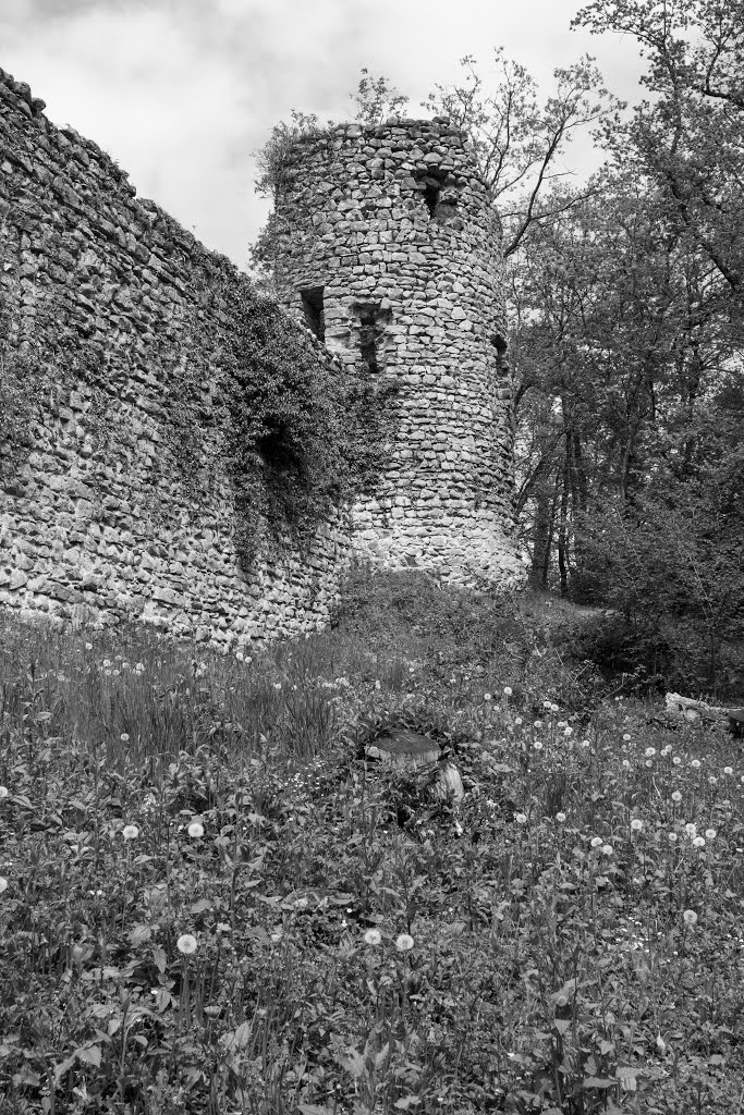 Chateau des Allinges by Mickaël DOLE