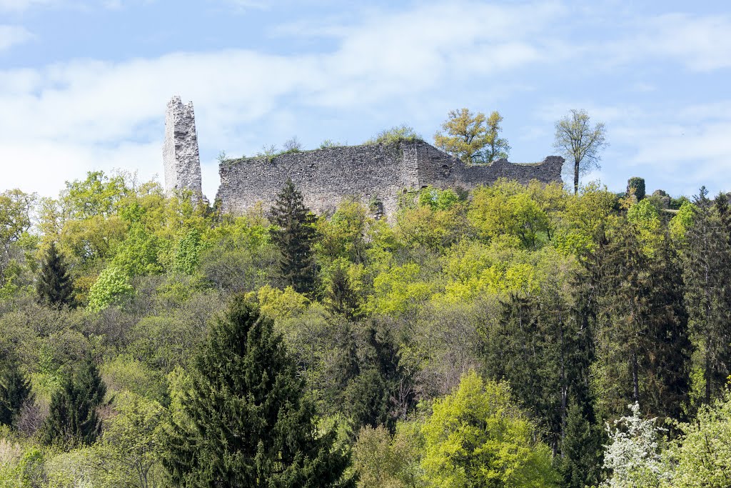 Chateau des Allinges by Mickaël DOLE