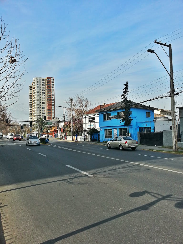 Avenida José Domingo Cañas, Ñuñoa by Martín Guzmán Henríquez