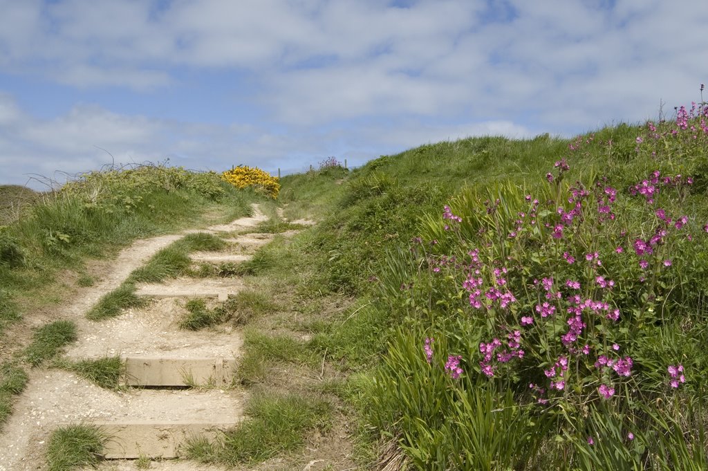 Coastal Path at Flamborough Head by Ilkestonian