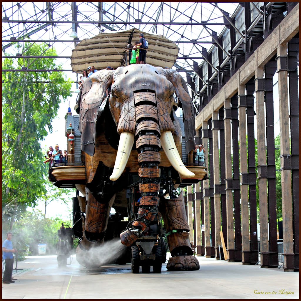 Les Machines de L'île - Nantes, France by © cvandermeijden