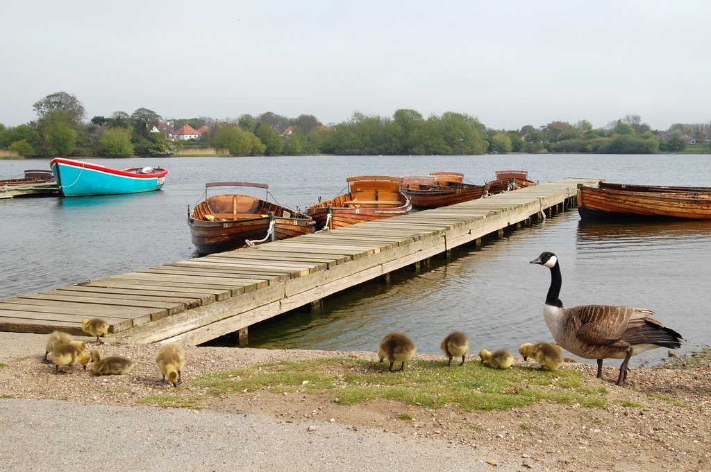 Hornsea Mere by Ilkestonian