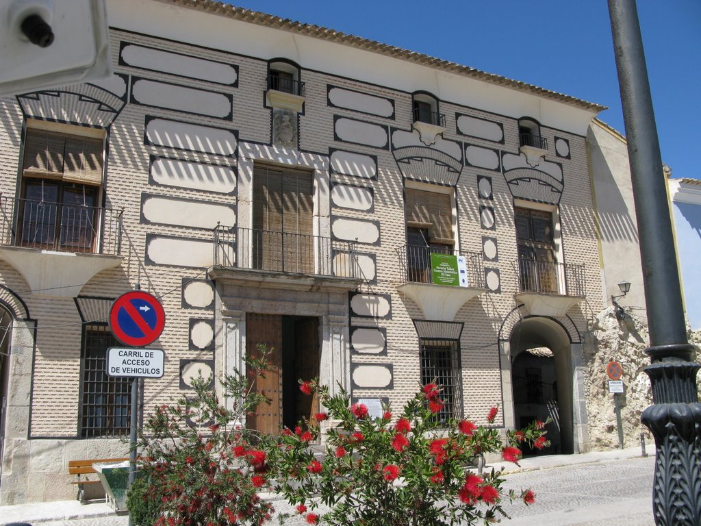 Palacio de los Fajardo (Cehegin) by murciaturistica