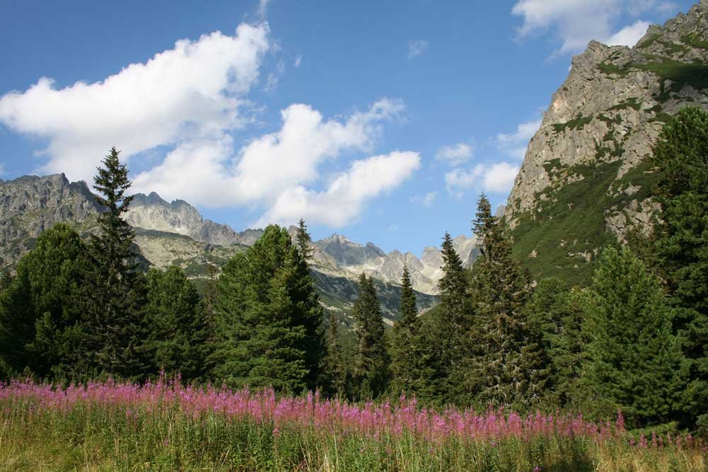 Tatry Wysokie spod Osterwy by Krzysztof Puzik