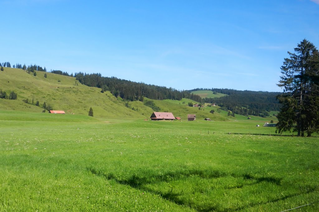 Rothenthurmer Landschaft im Juli by dr.monnet