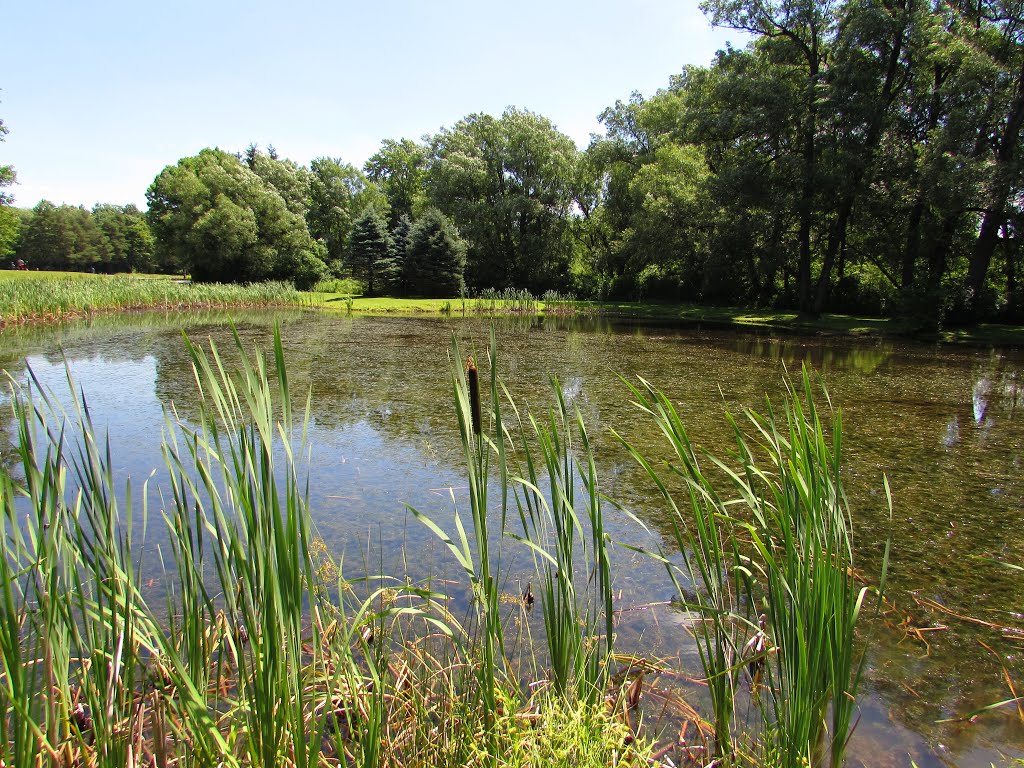 Pratts Falls Pond by Chris Sanfino