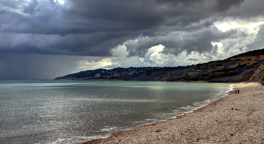 Charmouth Beach 2014 by Mike Dearie