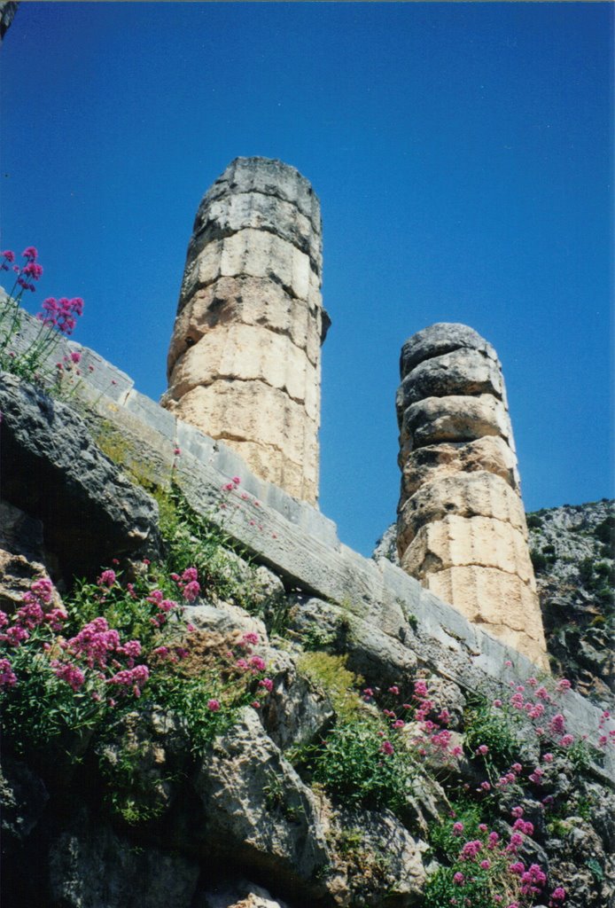 Pilars Remanents Of Apolos Temple, Delfi, Greece by Edwin Rondon Betanco…