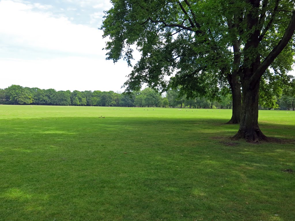 Frankfurt - Ostpark. by R.F.Rumbao